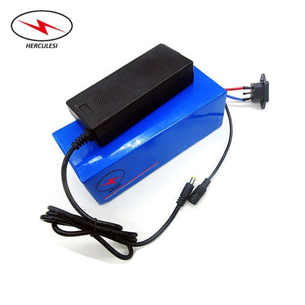 Small Size Ebike Battery 48v 12ah Electric Bike Battery Pack 500w Lithium Ion Battery Pack In 18650 Cell Li Ion Pack 15a Bms Charging Battery Electric Battery From Lpktmq 298 17 Dhgate Com