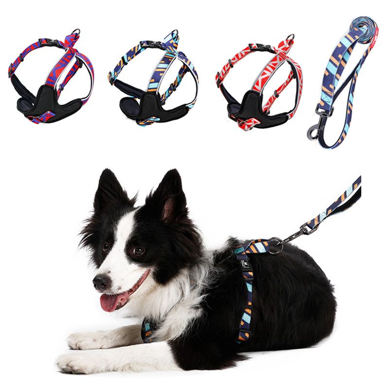 companion animal vest