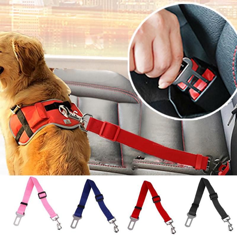 Beeldhouwer Bourgondië Wissen Verstelbare Hond Veiligheid Riem Auto Seat Riem Harnas Huisdieren Veilig  Gordel Lood Tractie Touw Restraint Leash Dogs Car Harnesses Van 0,75 € |  DHgate