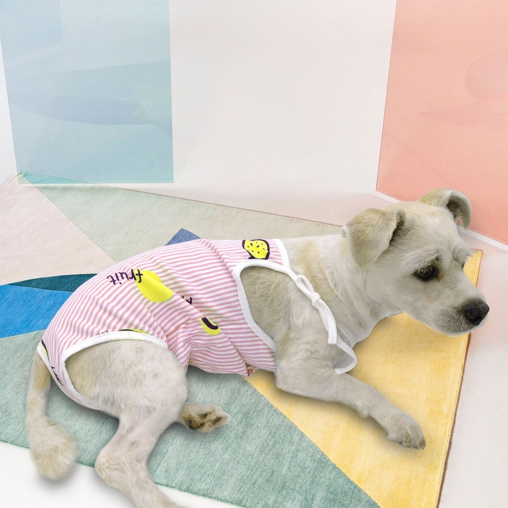 cute dog diapers