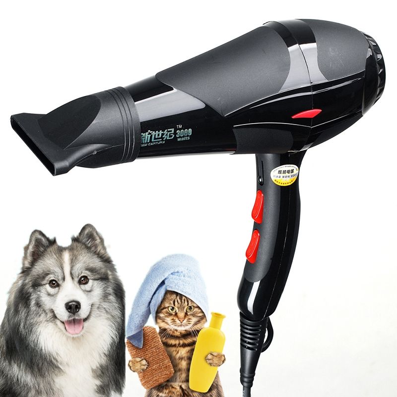 professional dog grooming dryer