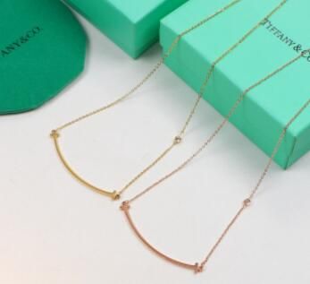 Diamond Smile Necklace 