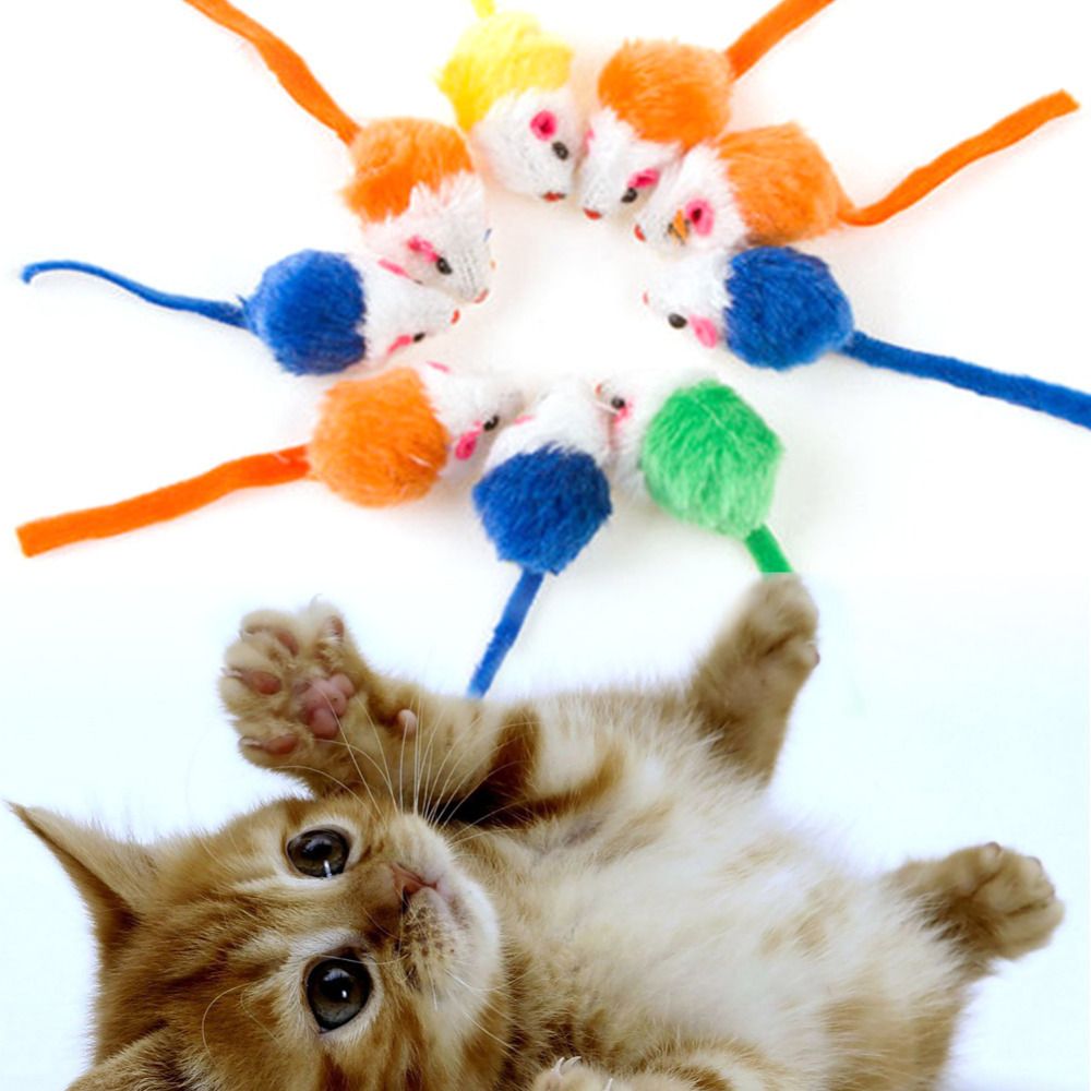 animals playing with toys