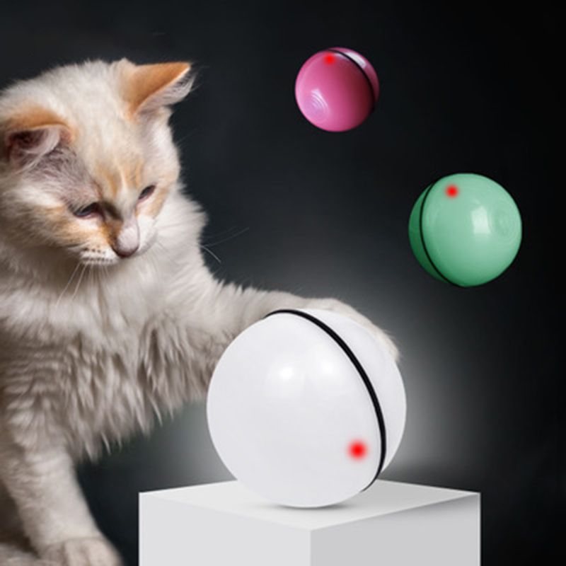 motion ball cat toy