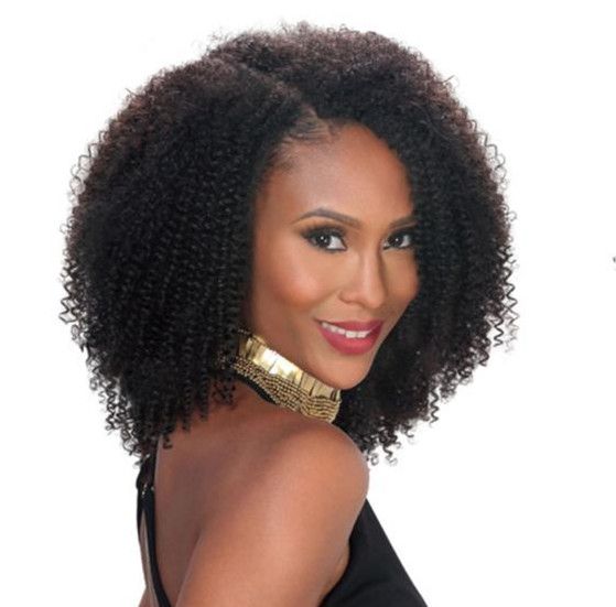 4a Coily Curly Brazilian Remy Hair Lace Front Wigs 150 Density