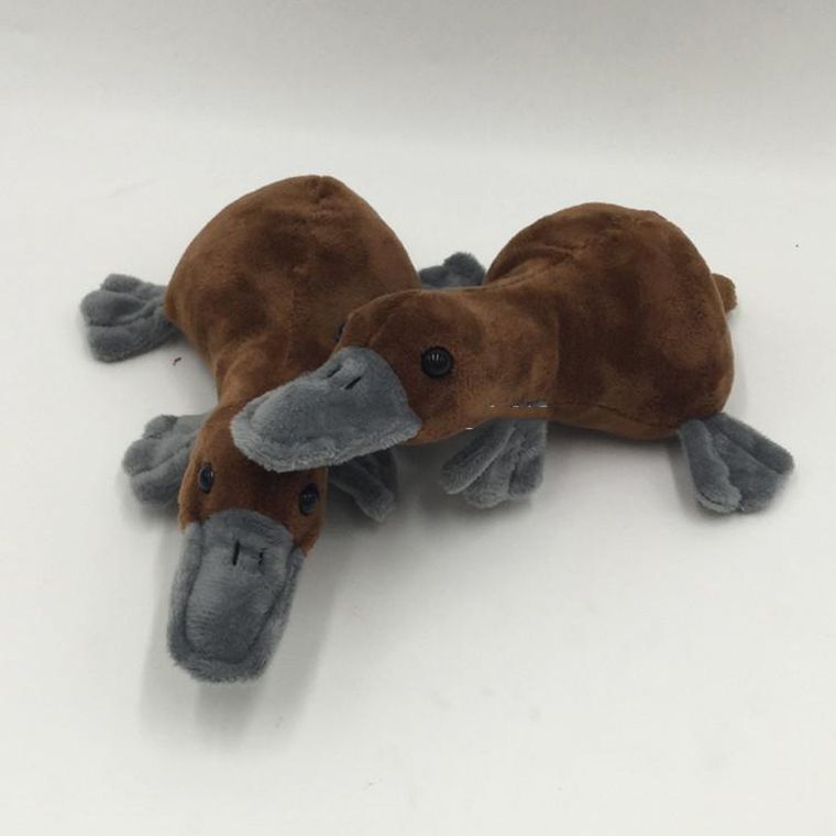 platypus doll