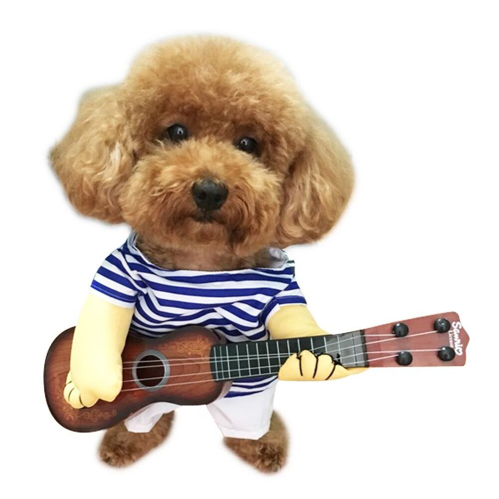 Perro Mascota Guitarrista Ropa Divertido Guitarra Disfraz Ba Perro Mascota Guitarrista Ropa Divertido Guitarra Disfraz Ba