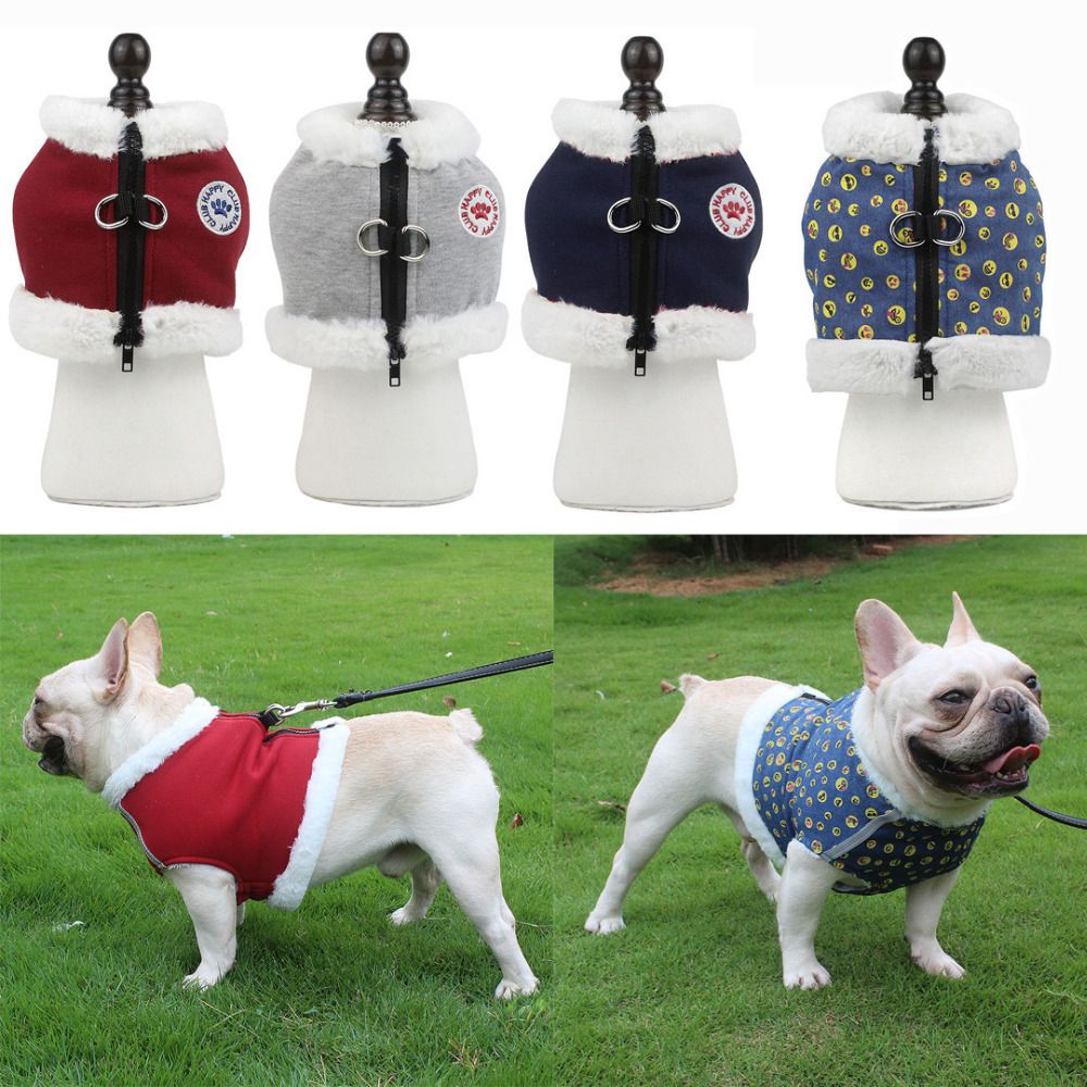 2020 Wool Padded Pet Harness Vest And 1 5m Leash Set For French Bulldog Pug No Pull Winter Warm Cat Clothes Reflective Dog Harnesses Wholesale From Jie123jie 14 69 Dhgate Com