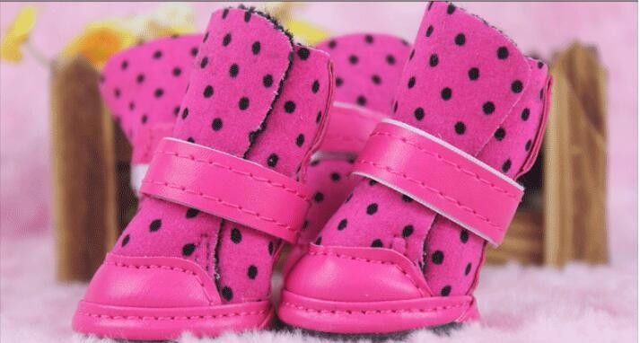 pet cat shoes