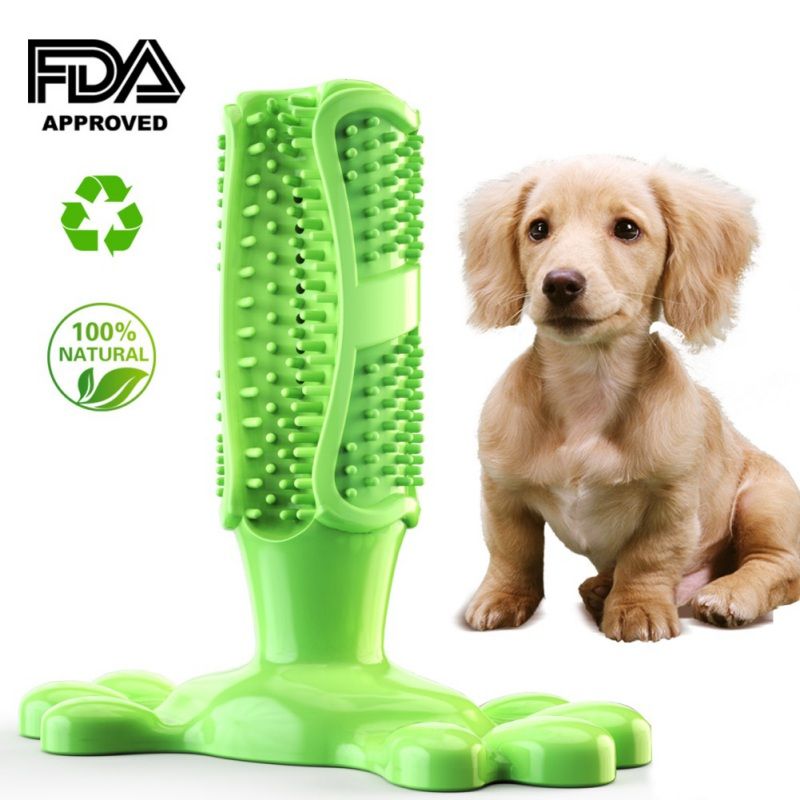 dog toothbrush chew toy