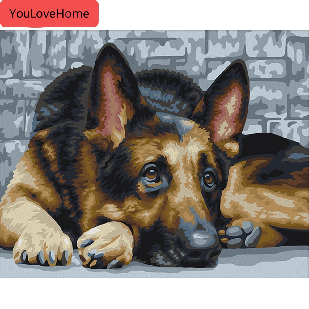 kits de pintar por numeros pastor aleman