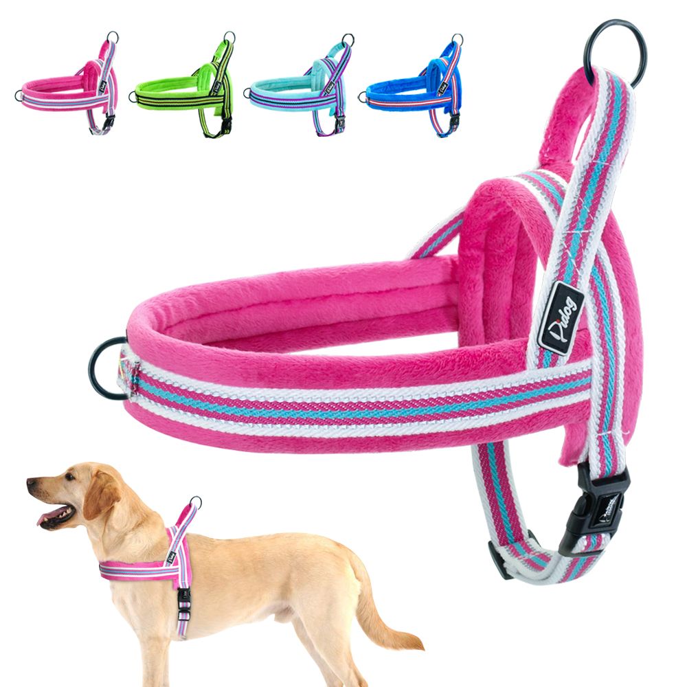 cheap dog harness