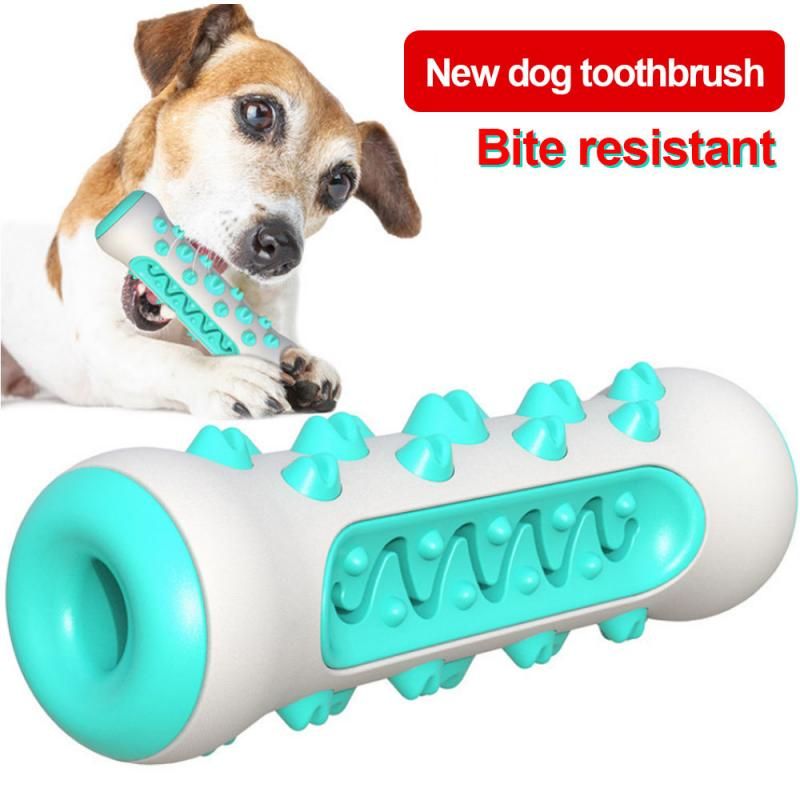 new dog toothbrush toy