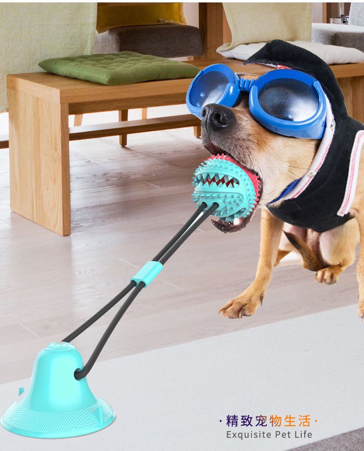 dog suction ball