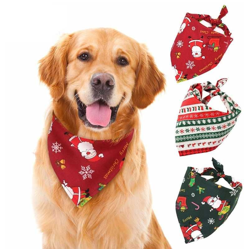 pet bandana collar