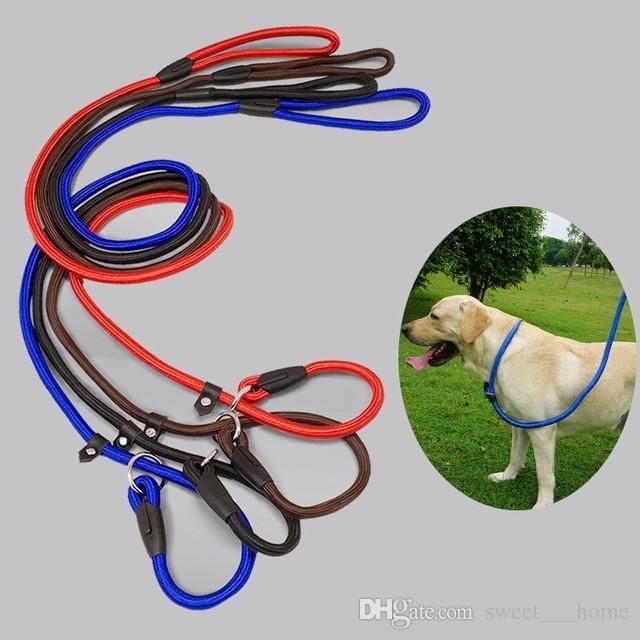 nylon slip leads for dogs