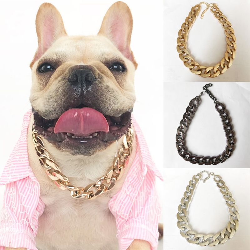 gold chain collar for small dog