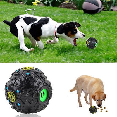 giggle ball dog toy