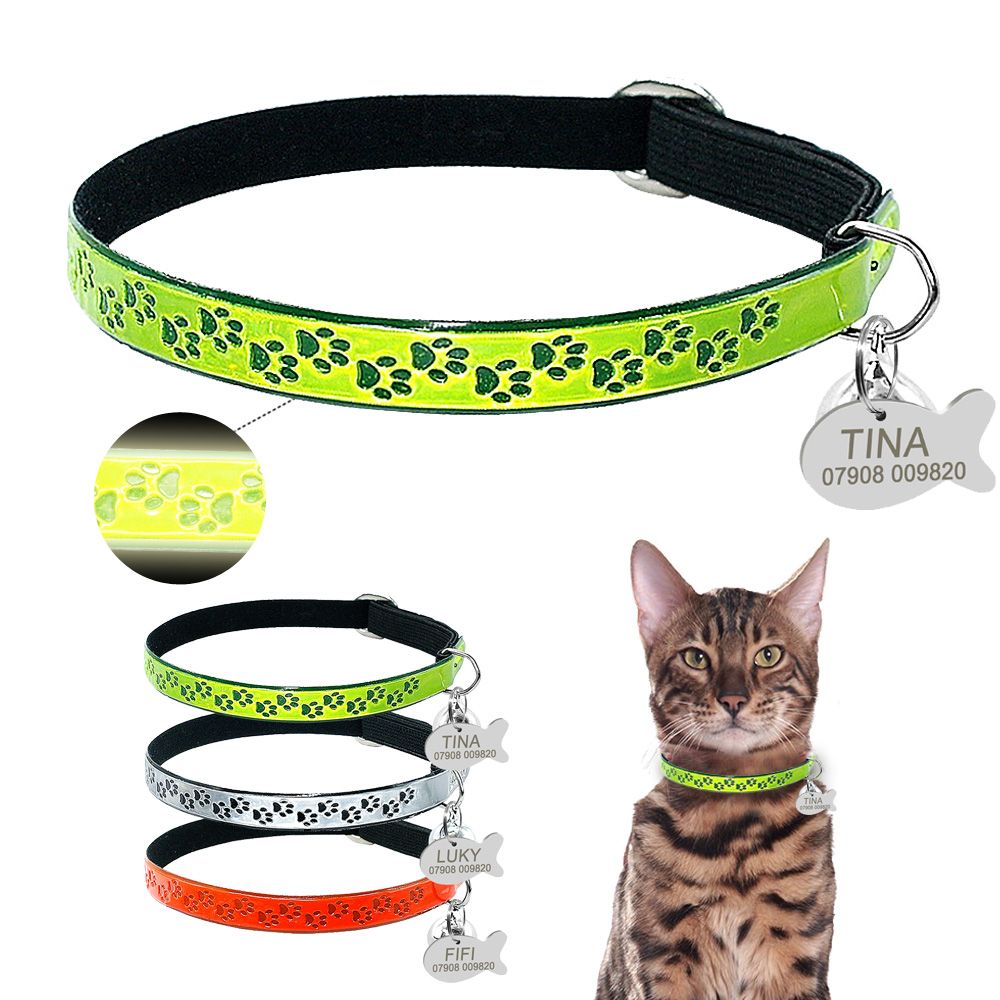 Acheter Vente En Gros Securite Fluorescence Personnalise Pour Les Chats Colliers Collier Avec Balises Chats Chaton Gravee Fish Id Nom Collier Avec Bell De 330 16 Du Hardware Department Fr Dhgate Com