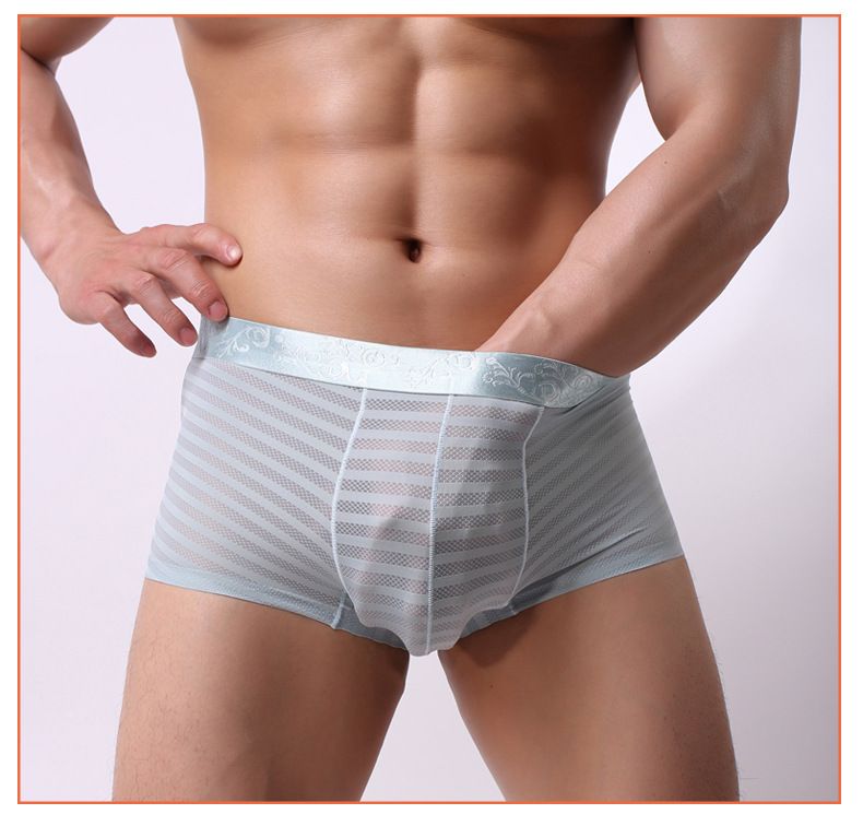 Compra COCKCON Masculina Ropa Interior Transparente De Seda De Hielo Fino  De Baja Altura Sexy Pantalones Transparentes Respirables Del Envío Barato |  Entrega Rápida Y Calidad | Es.Dhgate