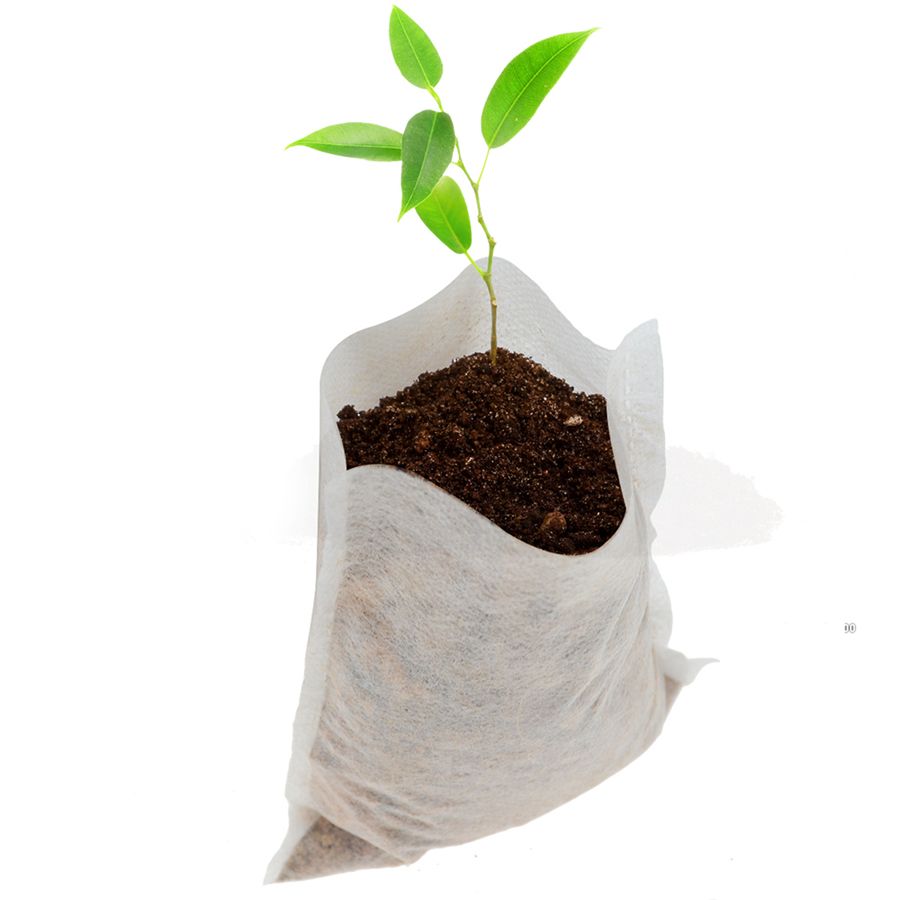 2020 Plant Grow Bags 8*10cm Seedling Pots Biodegradable Non Woven