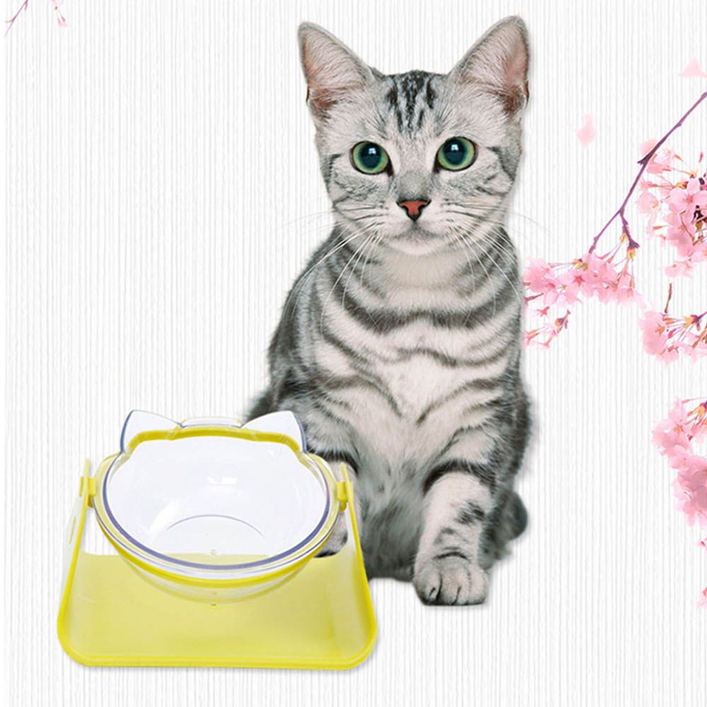 2019 Adjustable Non Slip Transparent Pet Bowl Dog Cat Plastic