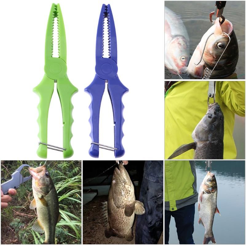 fish clamp holder