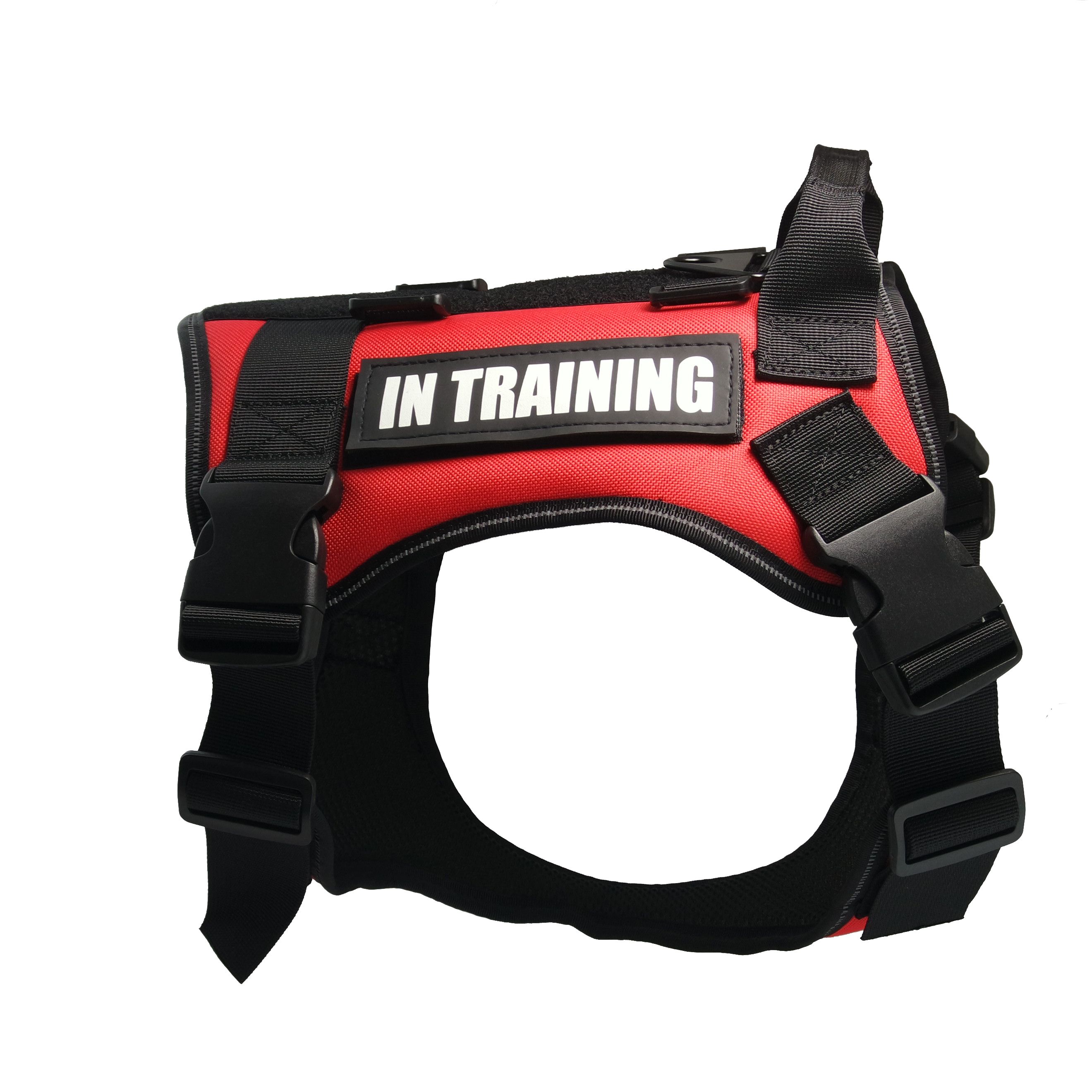 in training dog vest