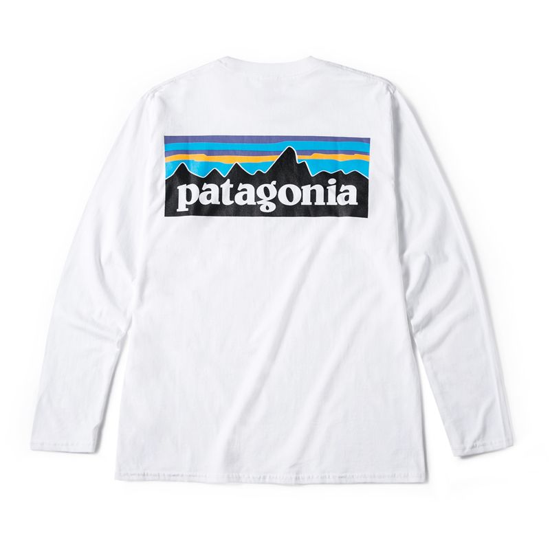 camiseta patagonia