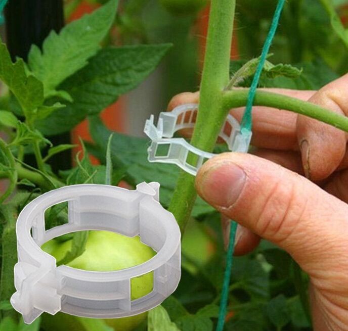 50PCS Tomaten Clips Spalier Gartenpflanze Gemüse Support Für Binder Tie Mode! 