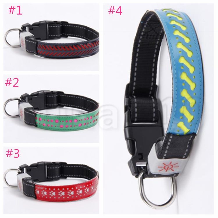 stylish dog collars and leashes