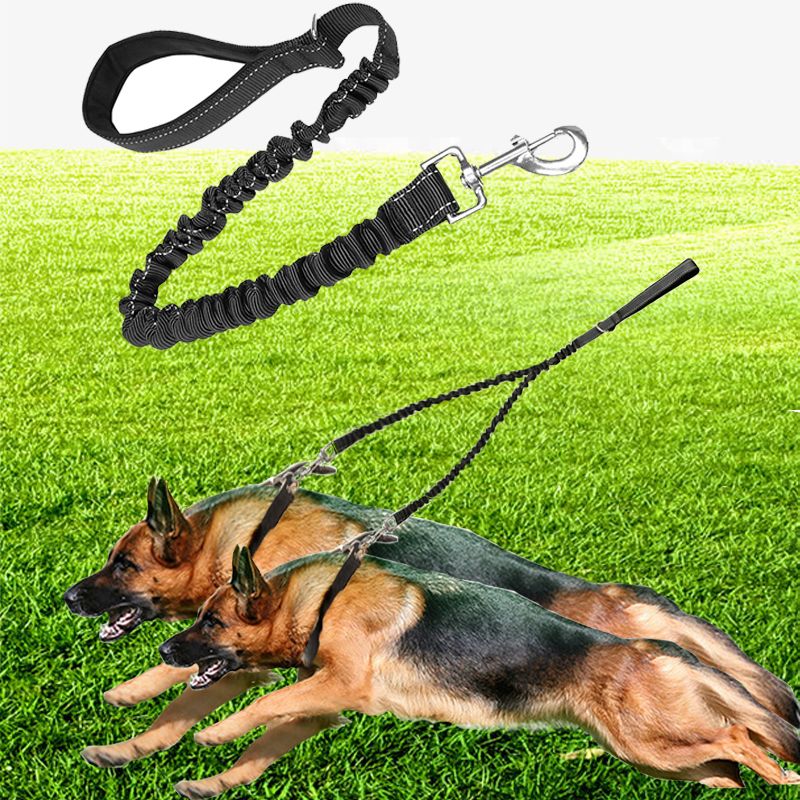 double walking leash