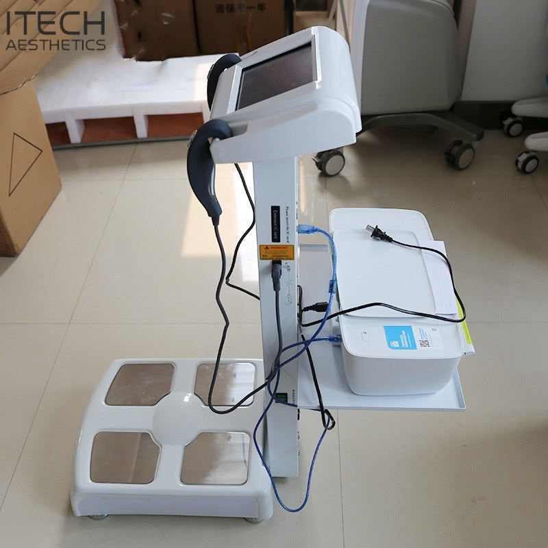 GS6.5B Digital Body Analyzer For Fat Test Machine Health Body