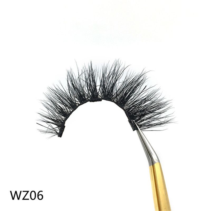 Wz06