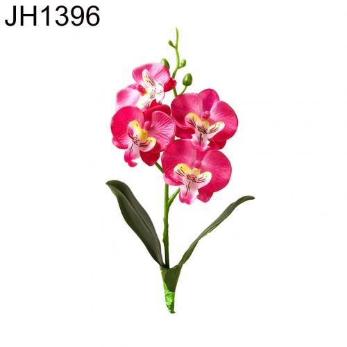 JH1396