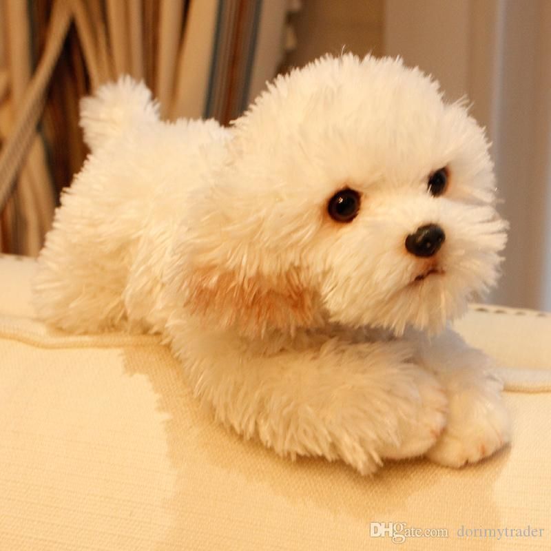 soft toy dog with puppies in tummy