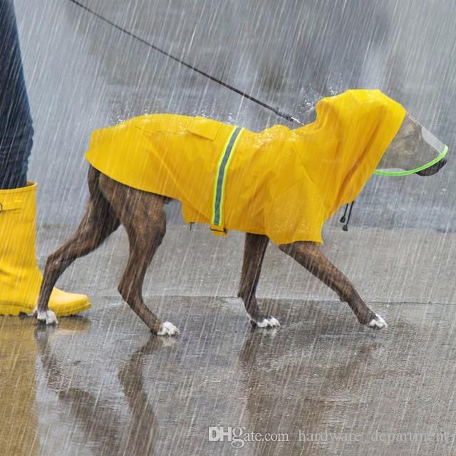2020 Waterproof Large Dog Raincoat Reflective Dog Rain Coat Jacket Pet Clothes Raincoats Hooded For Medium Big Dogs Labrador 2xl 5xl From Qiansuning3 642 82 Dhgate Com