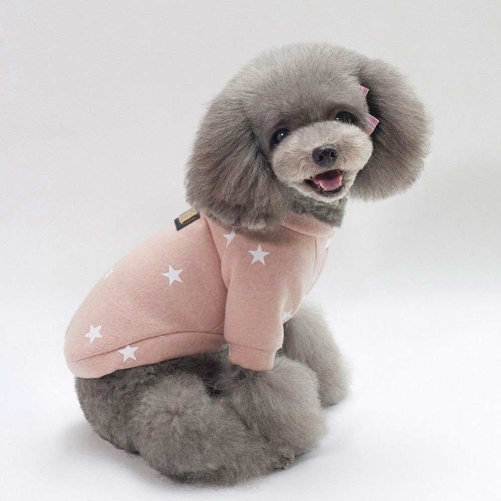 puppy outfits