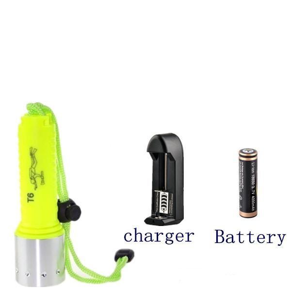 Flashlight+Battery+Charger Plug