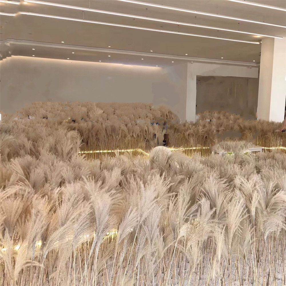20Pcs Dried Pampas Grass Natural Phragmites Communis Wedding Flower Plant Bunch 