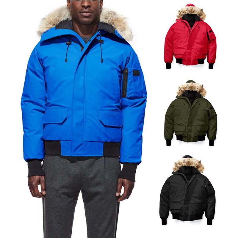 chilliwack bomber x ovo