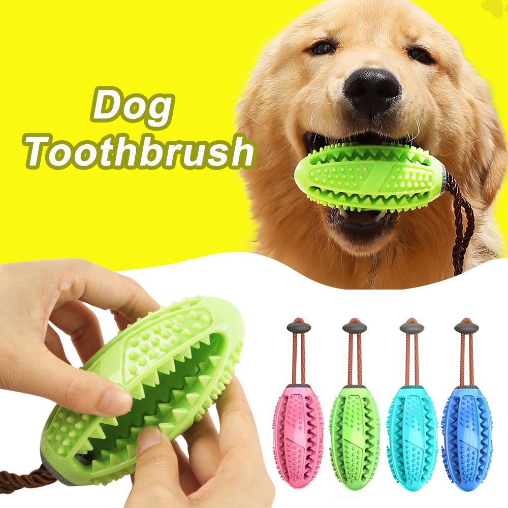 popular dog toys
