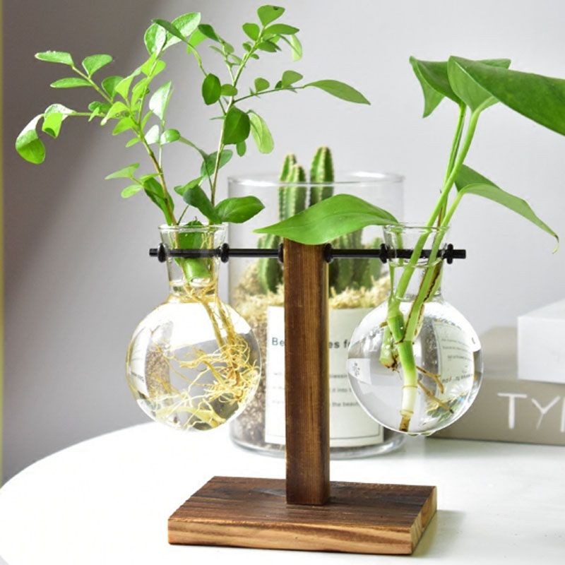 Details about   Flower Pot Transparent Vase Hydroponic Plant Tabletop Home Bonsai Decoration 