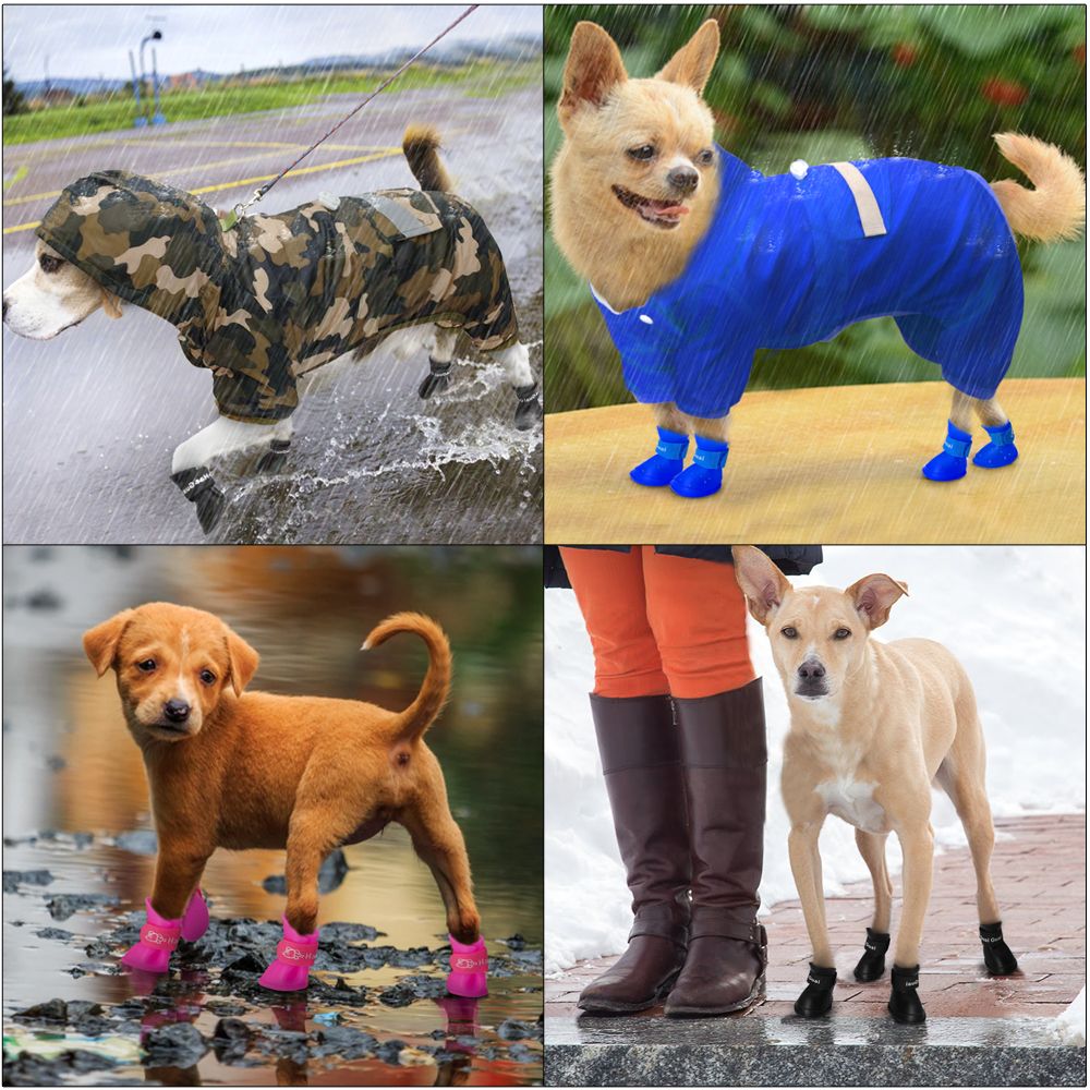 dog shoes medium