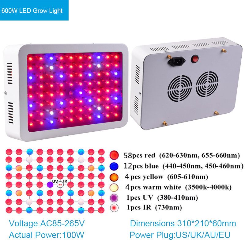 600W الصمام نمو الخفيفة