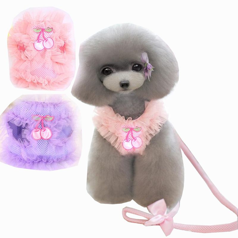 pink dog harness and leash