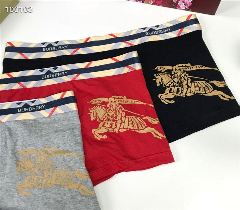 Venta > calzoncillos burberry > en stock