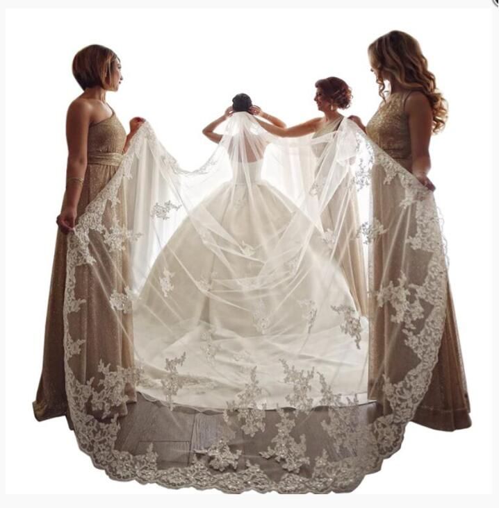 amazing wedding veils