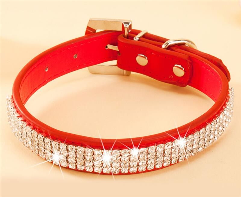 leather puppy collar and lead