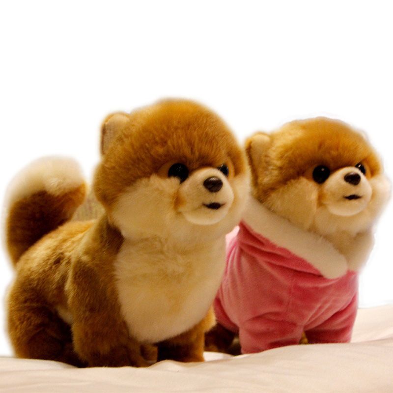 realistic pomeranian plush